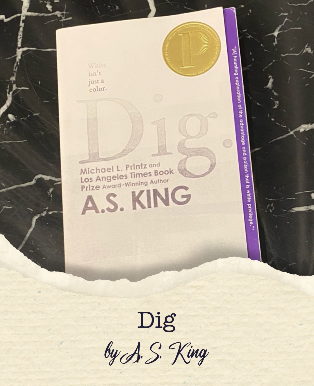 Dig book cover