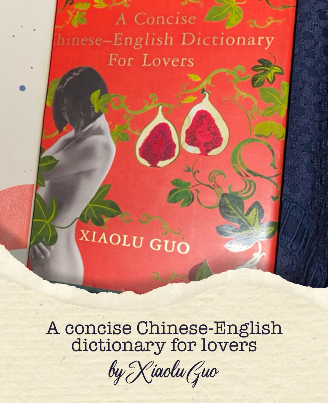 A concise Chinese-English dictionary for lovers book cover