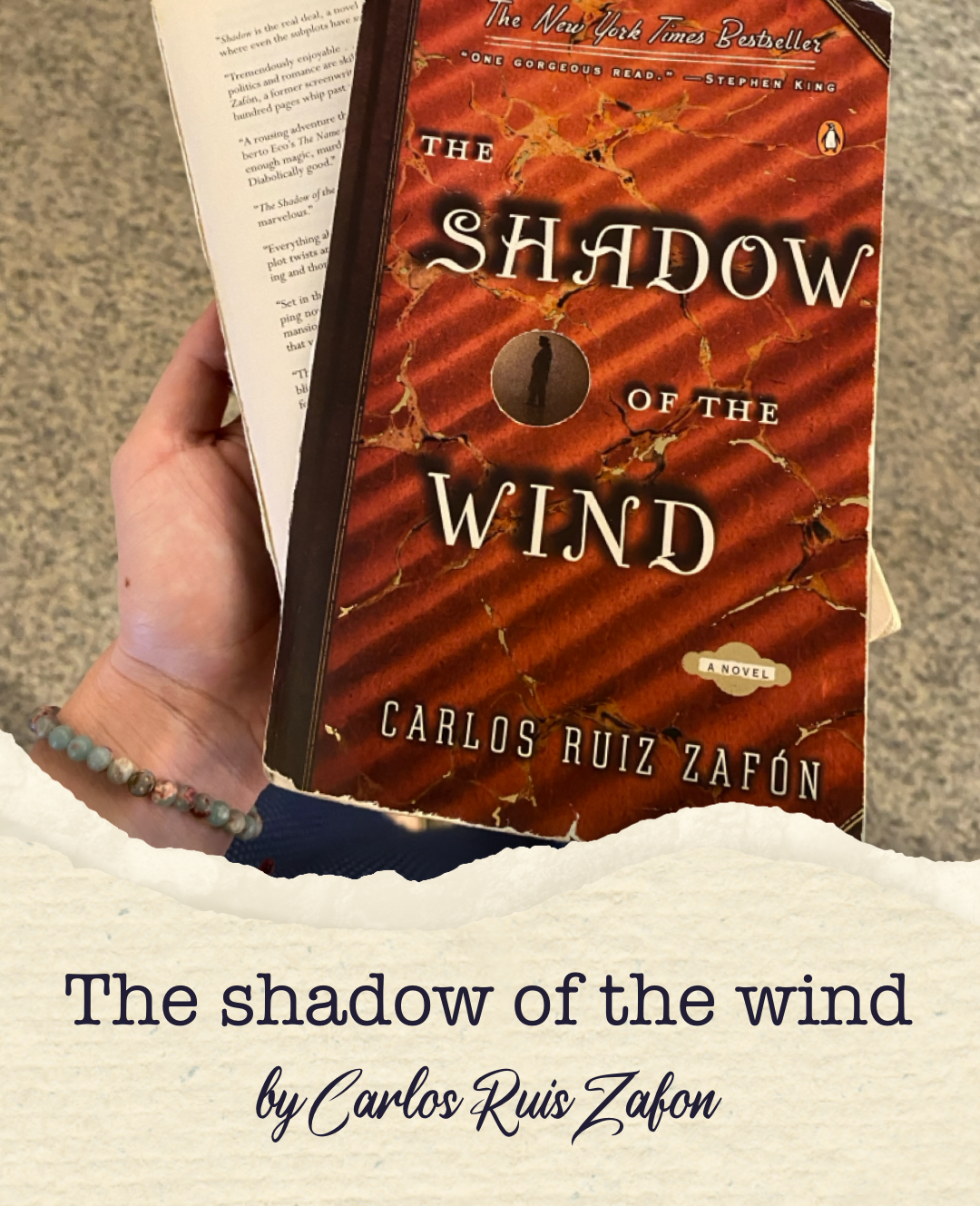 The shadow of the wind book cover