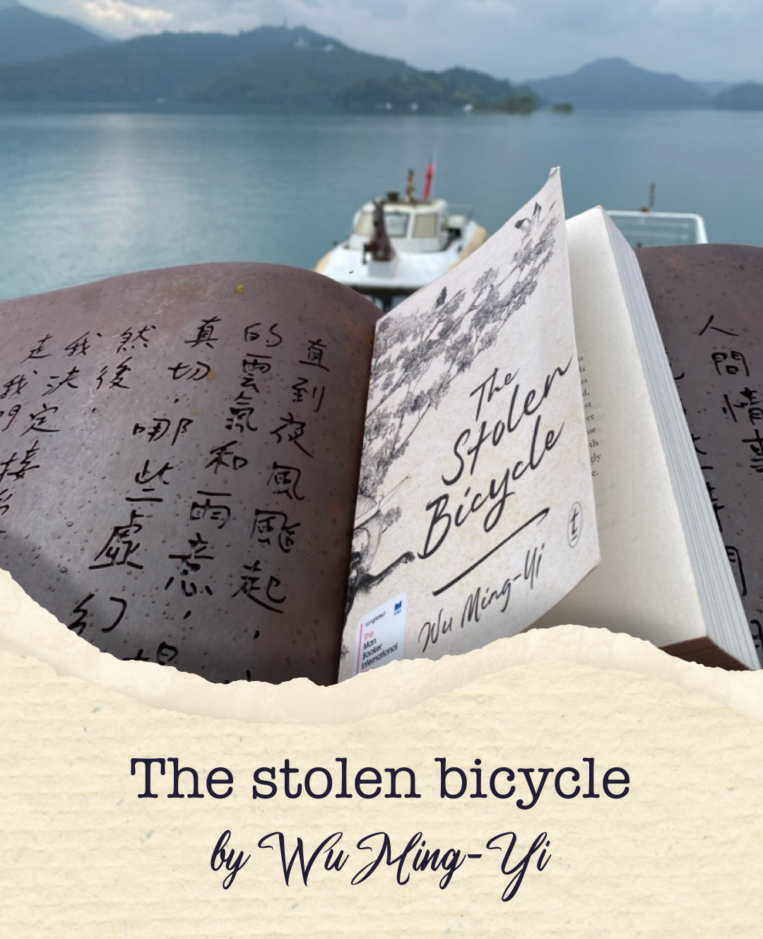 The stolen bicycle book cover