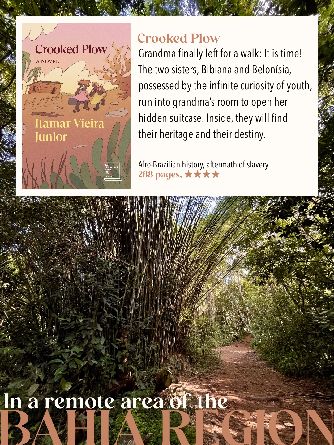 Crooked Plow book cover