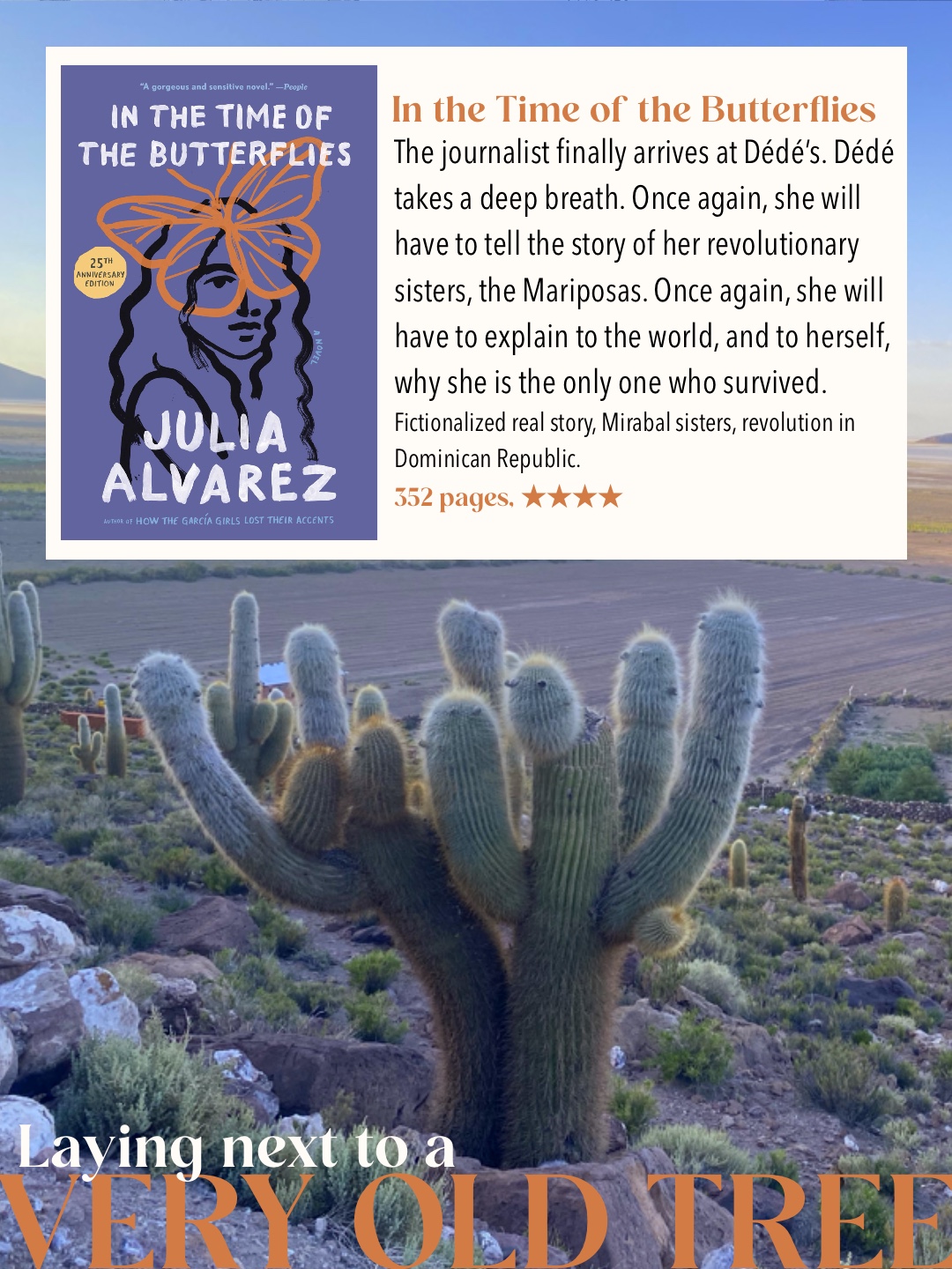 In the time of the butterflies book cover